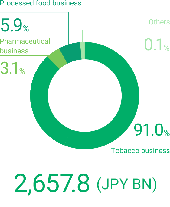 Revenue breakdown by business segment