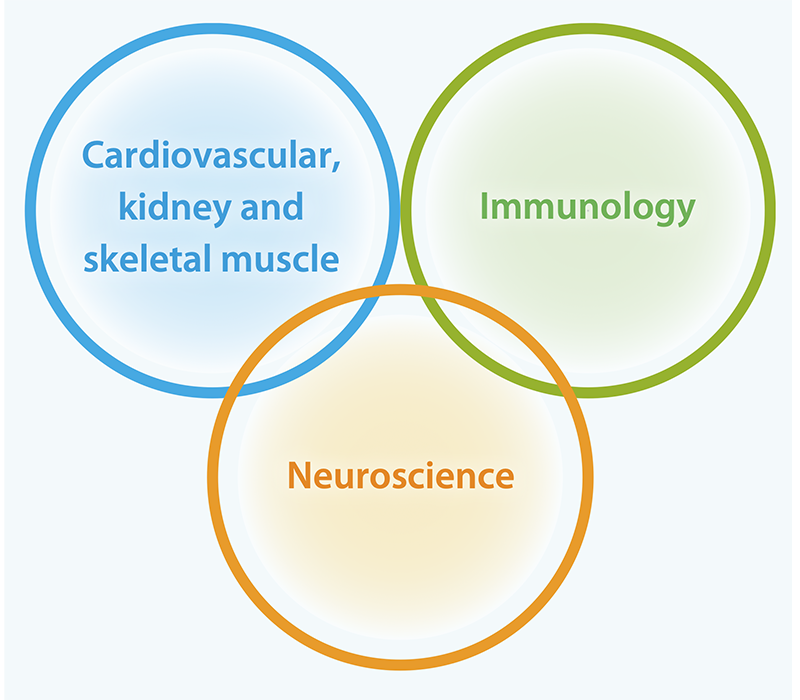 循環器・腎臓・筋 Cardiovascular, Kidney and Skeletal Muscle / 免疫・炎症 Immunology / 中枢 Neuroscience
