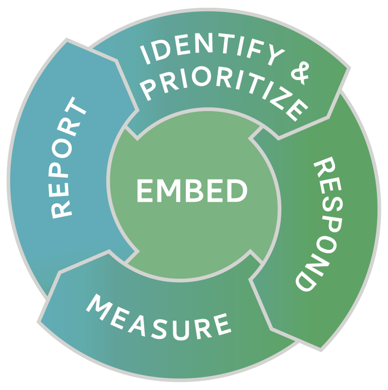 Human Rights Initiatives - 5 Pillars Penetration / Identifying and Prioritizing / Addressing / Measuring Effectiveness / Disclosure