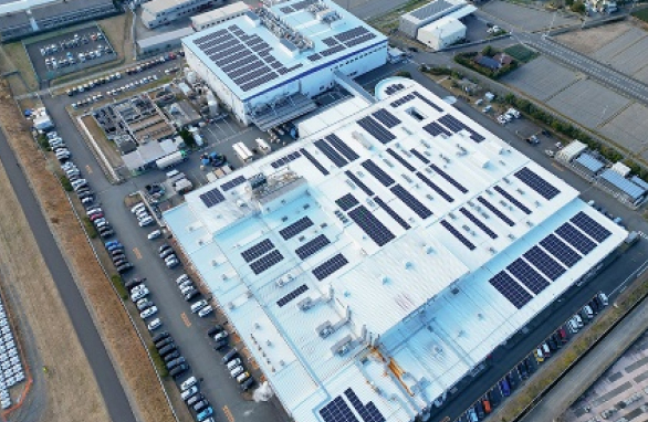 Reducing environmental impact and building a sustainable supply chain