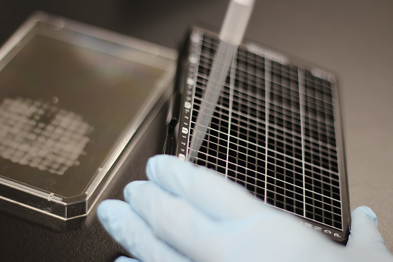 Reducing health impact: Transparency in RRP science