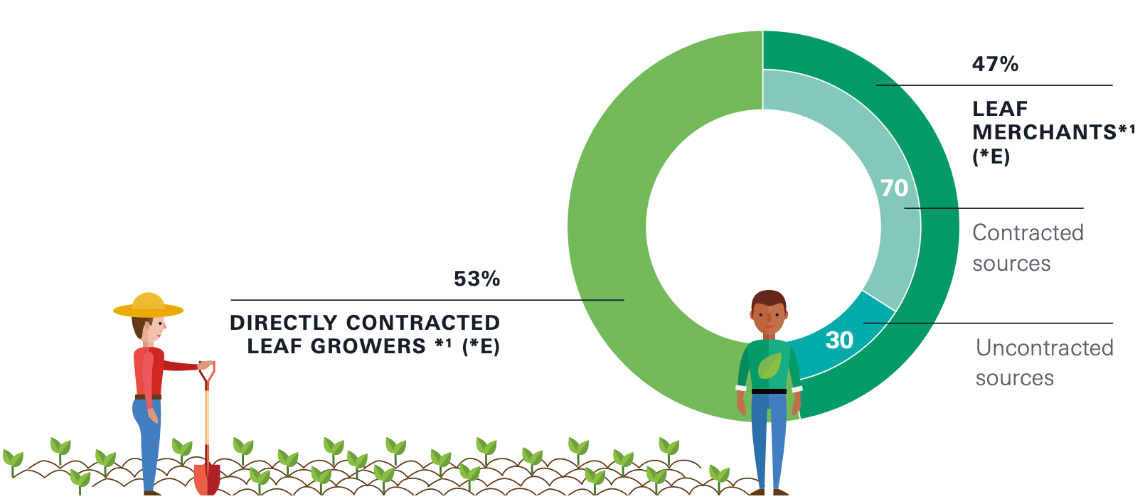 Leaf supply chain Raw material sourcing JT Global Site